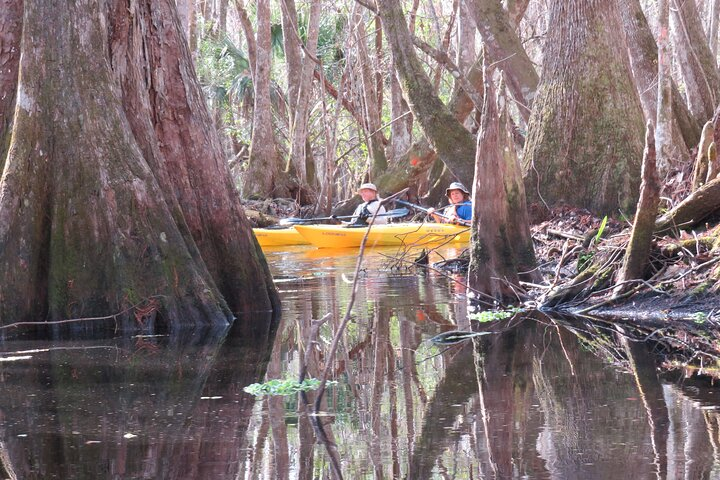 Exclusive Nature Escape Kayak Adventure on Blackwater Creek - Photo 1 of 13